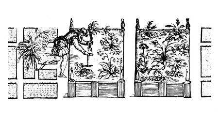Plantation en plates-bandes surélevées, de 