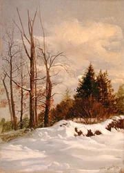 Paysage d