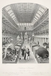 Musée Hunterian, Royal College of Surgeons, de 