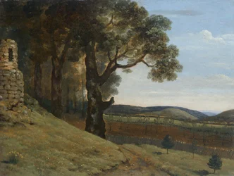 Champ près de Pencerrig