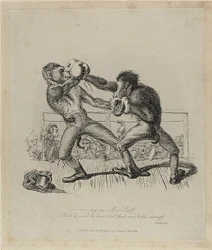 La boxe des singes, de Monkey-ana