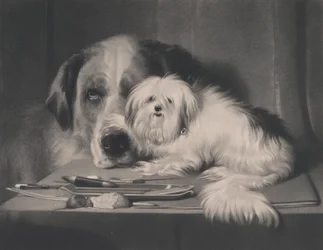 Le Chien-lion de Malte - Le dernier de sa tribu, 1844
