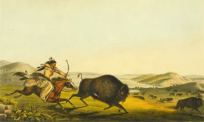 Chasse au buffle, 1848