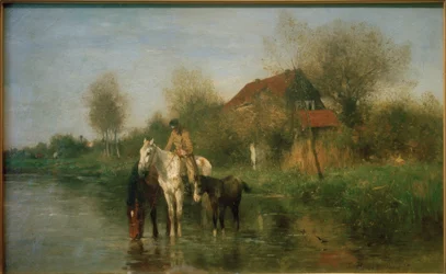 Chevaux près de l