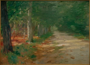 Chemin forestier avec taches de soleil