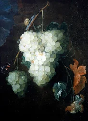 Nature morte avec raisins, vulcain et escargot