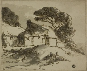 Chalets et arbres à flanc de colline