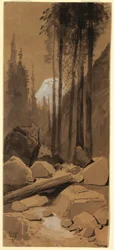Dessin, Dans la vallée de Yosemite, 1872