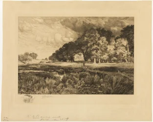 Paysage de Long Island
