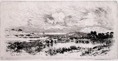 Étangs de Montauk, Long Island
