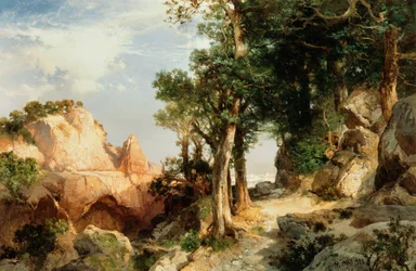 Sur le sentier des baies - Grand Canyon de l