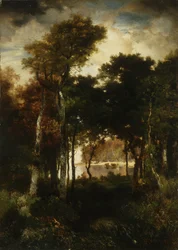 Bois près d