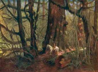 Grand épicéa dans le parc Stanley (lithographie couleur)