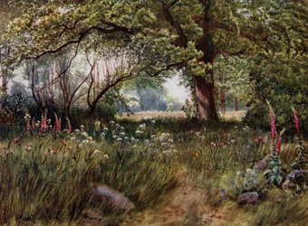 Jardins de Kew : Dans les jardins du Cottage de la Reine