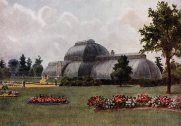 Jardins de Kew : La maison des palmiers