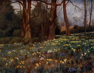 Kew Gardens : Le Jardin Sauvage au Printemps