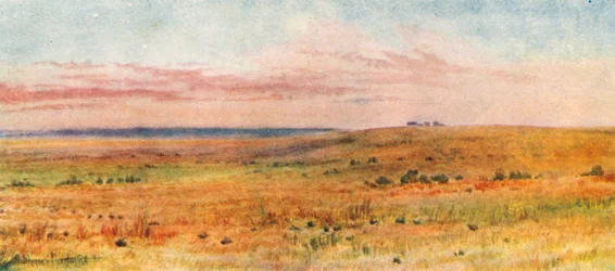 Dans les Prairies (lithographie couleur)