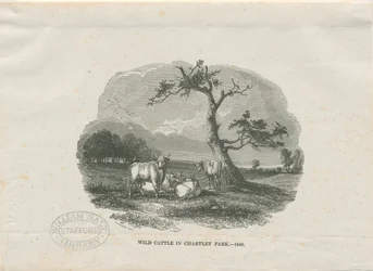 Chartley Hall - Parc