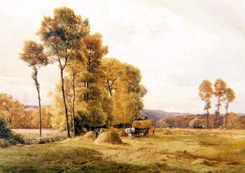 Champ de foin, soir