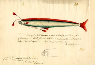Dessin à l