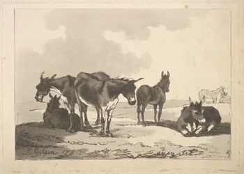 Un groupe de cinq ânes, trois debout, deux couchés, 1783-87