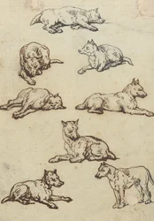 Illustration d