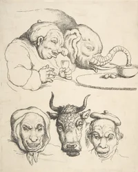 Anatomie comparative, 1800-25