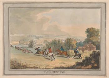 Chasse au lièvre