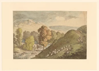 Paysage vallonné avec des moutons
