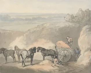 Des chevaux et une charrette près d