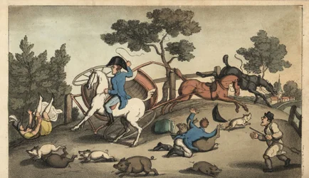 Johnny et une dame percutent une charrette dans un troupeau de porcs. Gravure à la main en cuivre par W. Read d