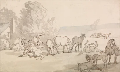 Des juments et des poulains dans un pré