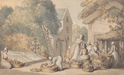 La cueillette des mûres