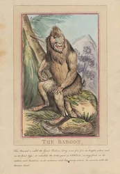 Lot de huit avec page de titre. « Animaux étrangers et domestiques ». 2. Le lion