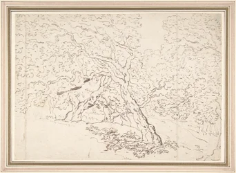 Étude des arbres