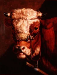Portrait de la tête d