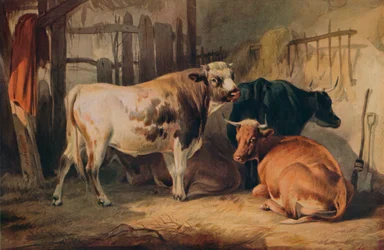 Un taureau et trois vaches dans une étable, vers 1856