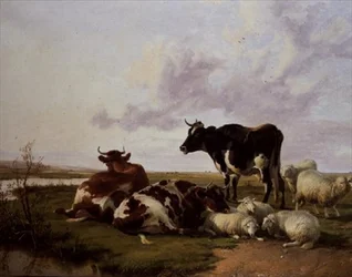 Bétail et moutons paissant