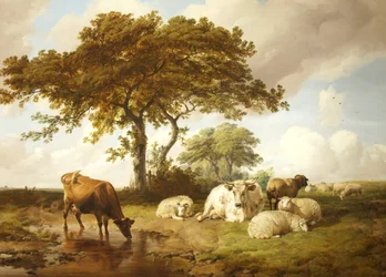 Repos dans les prés