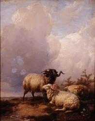 Moutons dans le Paysage