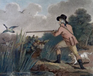 Chasse au canard
