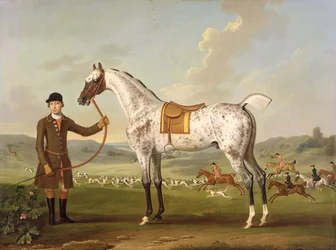 Scipio, le chasseur tacheté du colonel Roche