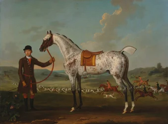 Scipio, un chasseur tacheté, propriété du colonel Roche
