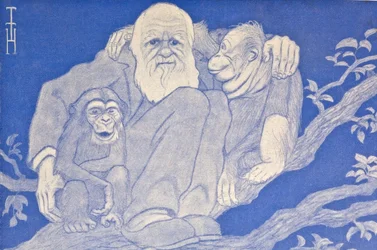 Caricature de Darwin avec des singes, détail, 1909