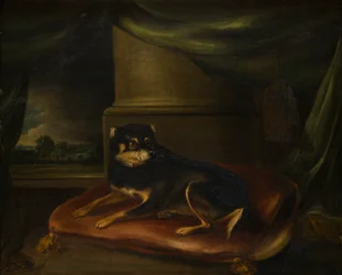 Un terrier favori sur un coussin rouge