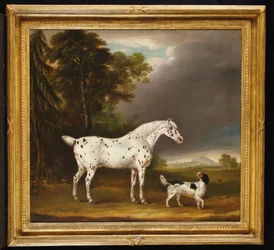 Cheval Appaloosa et épagneul, 1807