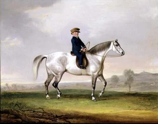 Maître Edward Humphries sur son poney gris