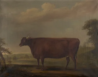 Génisses rouges du Devon dans un paysage, vers 1812