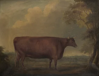 Génisses rouges du Devon dans un paysage, vers 1812