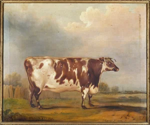 Wildair, une génisse de huit ans dans un paysage fluvial, 1827